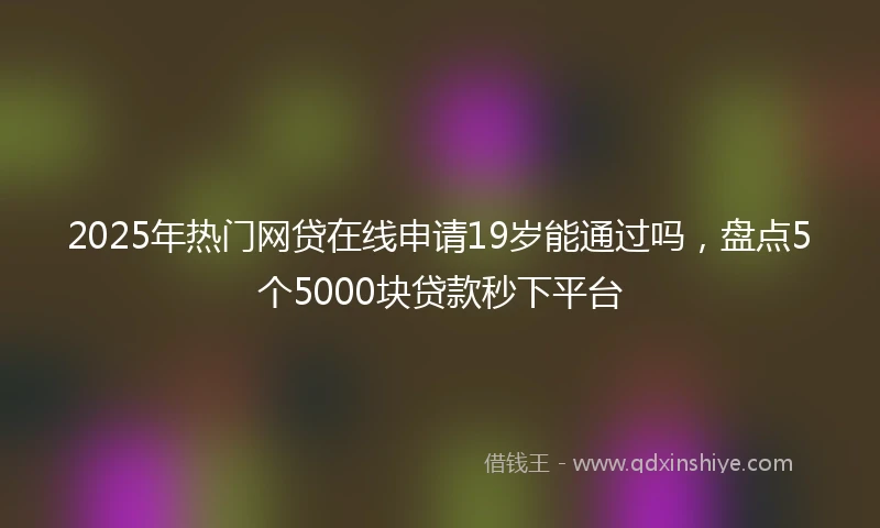2025年热门网贷在线申请19岁能通过吗，盘点5个5000块贷款秒下平台