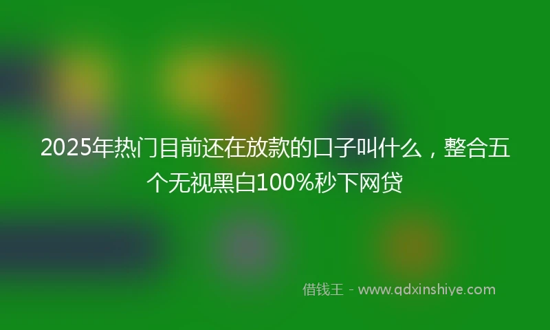 2025年热门目前还在放款的口子叫什么，整合五个无视黑白100%秒下网贷