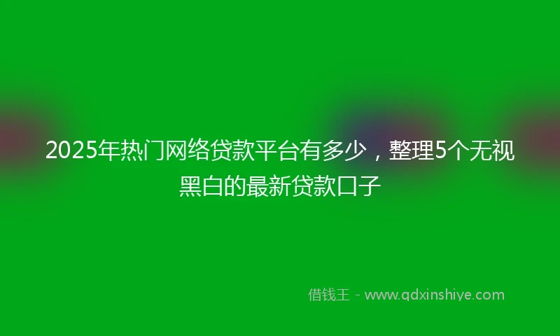 2025年热门网络贷款平台有多少，整理5个无视黑白的最新贷款口子