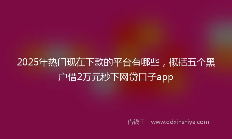 2025年热门现在下款的平台有哪些，概括五个黑户借2万元秒下网贷口子app