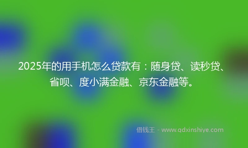 2025年的用手机怎么贷款有：随身贷、读秒贷、省呗、度小满金融、京东金融等。