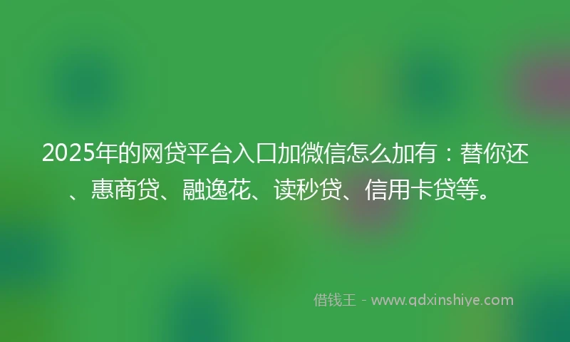 2025年的网贷平台入口加微信怎么加有：替你还、惠商贷、融逸花、读秒贷、信用卡贷等。