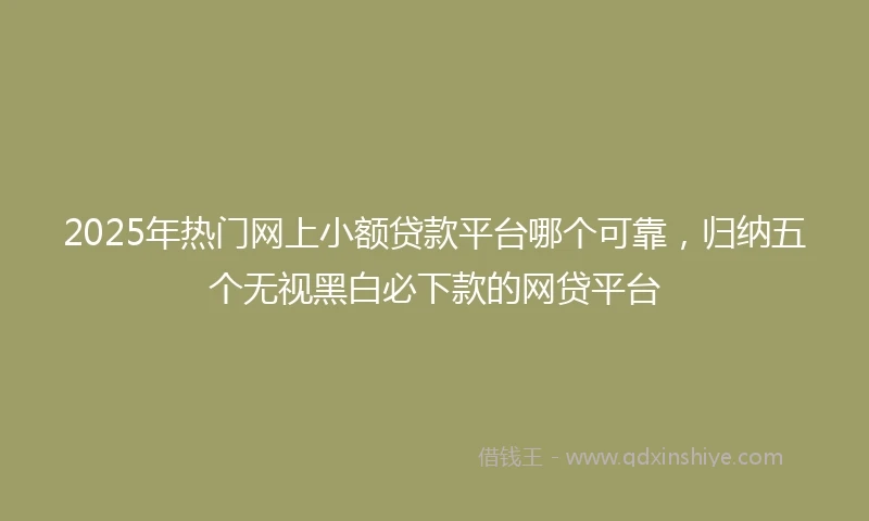 2025年热门网上小额贷款平台哪个可靠，归纳五个无视黑白必下款的网贷平台