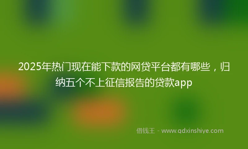 2025年热门现在能下款的网贷平台都有哪些，归纳五个不上征信报告的贷款app