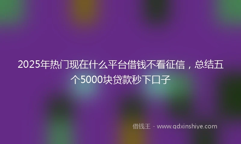 2025年热门现在什么平台借钱不看征信，总结五个5000块贷款秒下口子