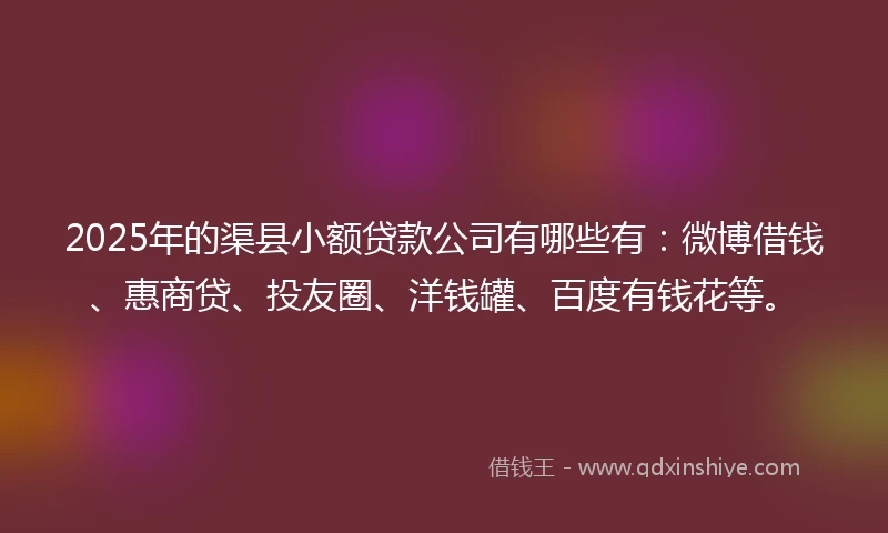 2025年的渠县小额贷款公司有哪些有：微博借钱、惠商贷、投友圈、洋钱罐、百度有钱花等。