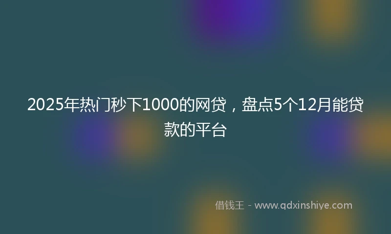2025年热门秒下1000的网贷，盘点5个12月能贷款的平台