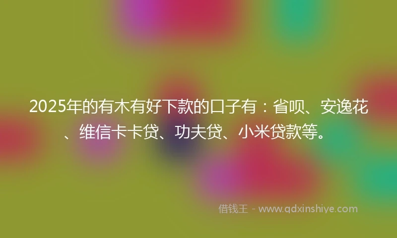 2025年的有木有好下款的口子有：省呗、安逸花、维信卡卡贷、功夫贷、小米贷款等。