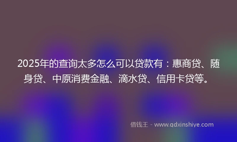2025年的查询太多怎么可以贷款有：惠商贷、随身贷、中原消费金融、滴水贷、信用卡贷等。