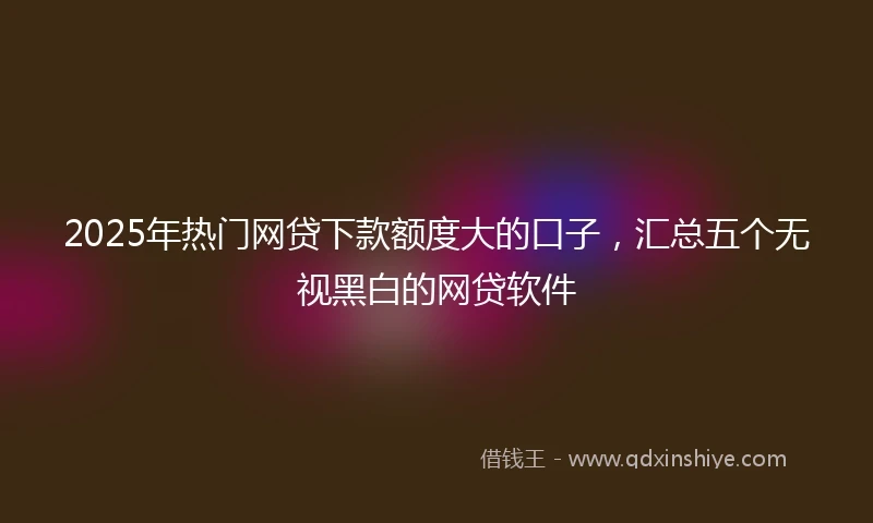 2025年热门网贷下款额度大的口子,汇总五个无视黑白的网贷软件