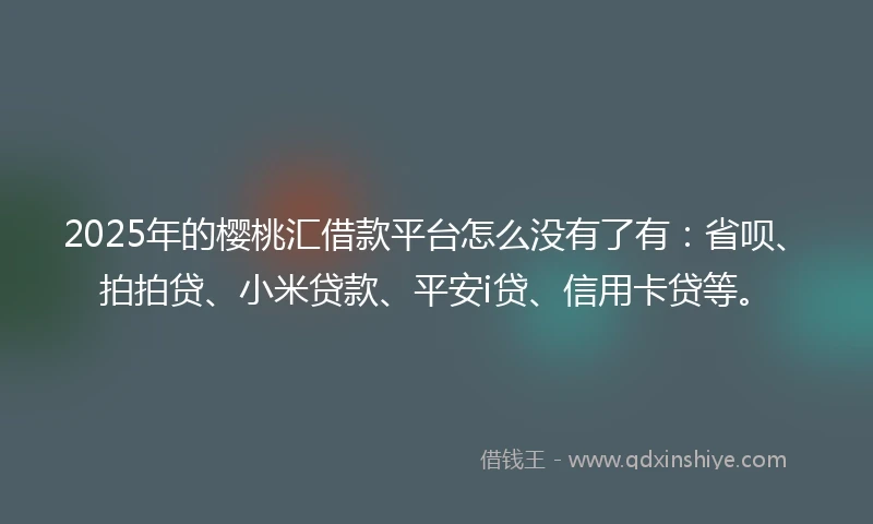 2025年的樱桃汇借款平台怎么没有了有：省呗、拍拍贷、小米贷款、平安i贷、信用卡贷等。