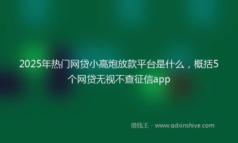 2025年热门网贷小高炮放款平台是什么，概括5个网贷无视不查征信app