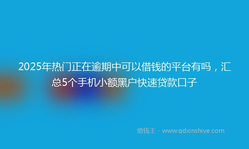 2025年热门正在逾期中可以借钱的平台有吗，汇总5个手机小额黑户快速贷款口子