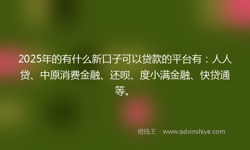 2025年的有什么新口子可以贷款的平台有：人人贷、中原消费金融、还呗、度小满金融、快贷通等。
