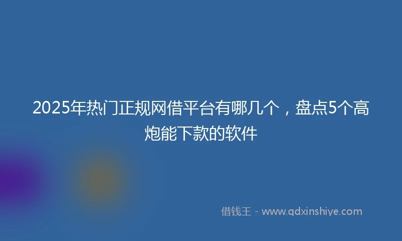 2025年热门正规网借平台有哪几个，盘点5个高炮能下款的软件