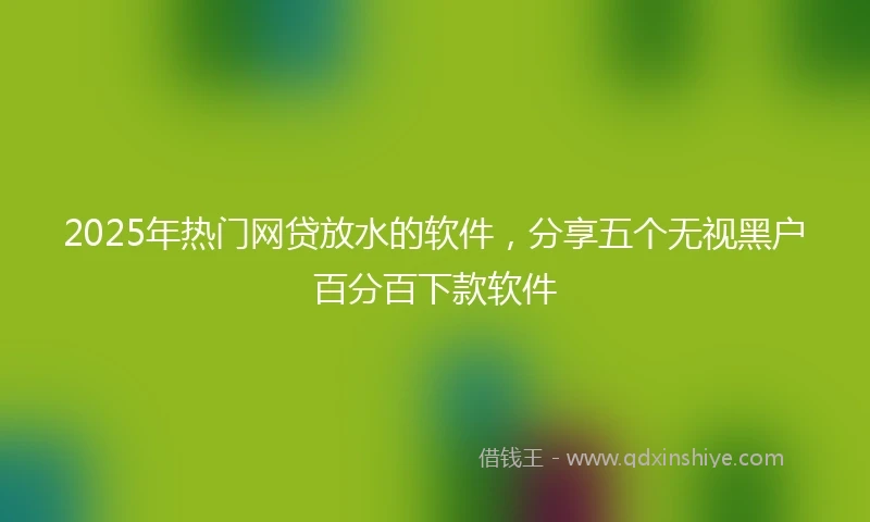 2025年热门网贷放水的软件，分享五个无视黑户百分百下款软件