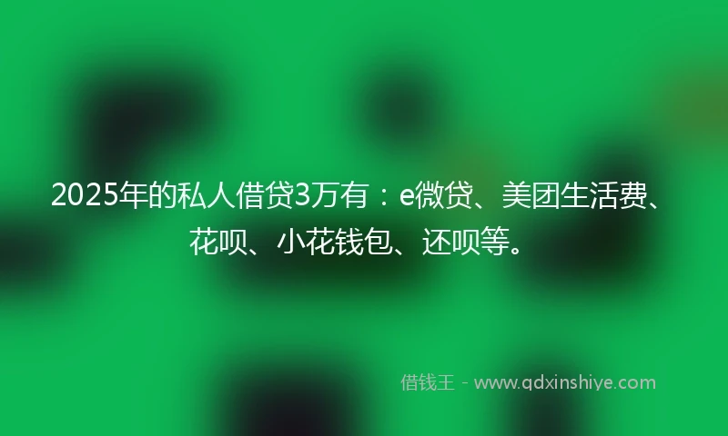 2025年的私人借贷3万有：e微贷、美团生活费、花呗、小花钱包、还呗等。
