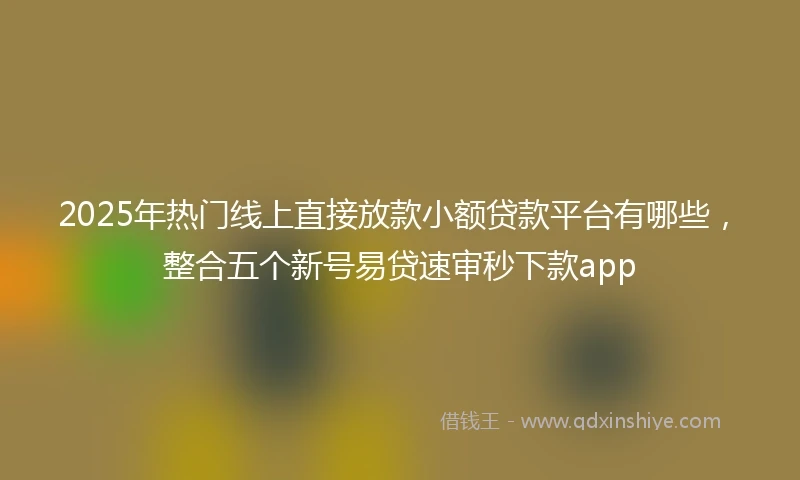 2025年热门线上直接放款小额贷款平台有哪些，整合五个新号易贷速审秒下款app