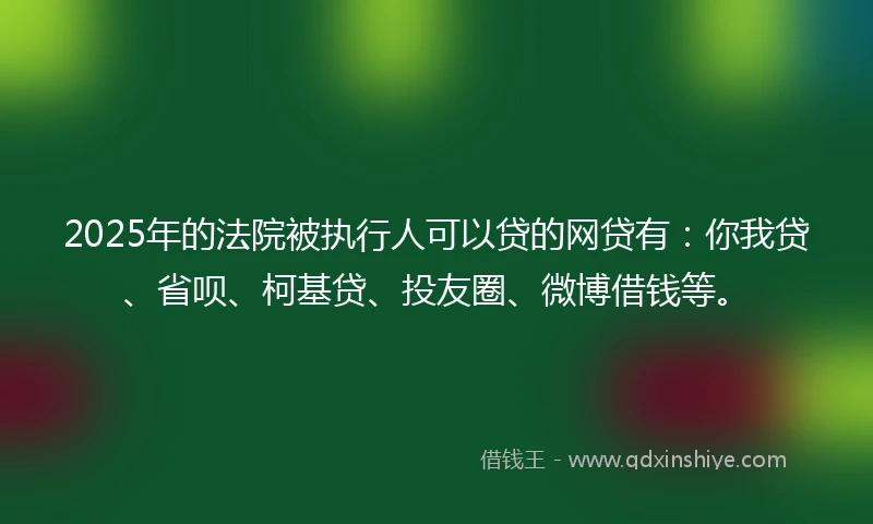 2025年的法院被执行人可以贷的网贷有：你我贷、省呗、柯基贷、投友圈、微博借钱等。