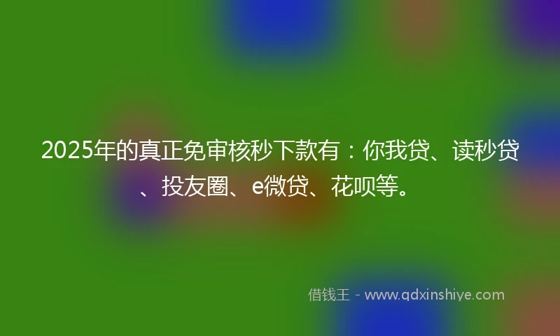 2025年的真正免审核秒下款有：你我贷、读秒贷、投友圈、e微贷、花呗等。