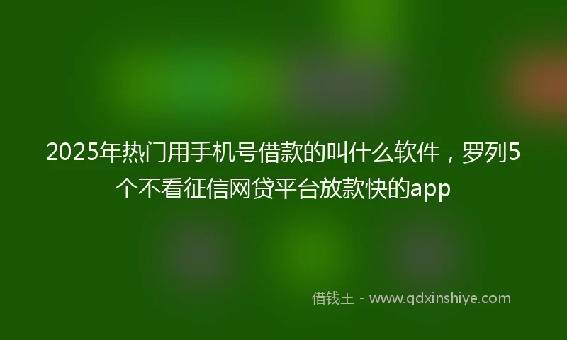 2025年热门用手机号借款的叫什么软件，罗列5个不看征信网贷平台放款快的app
