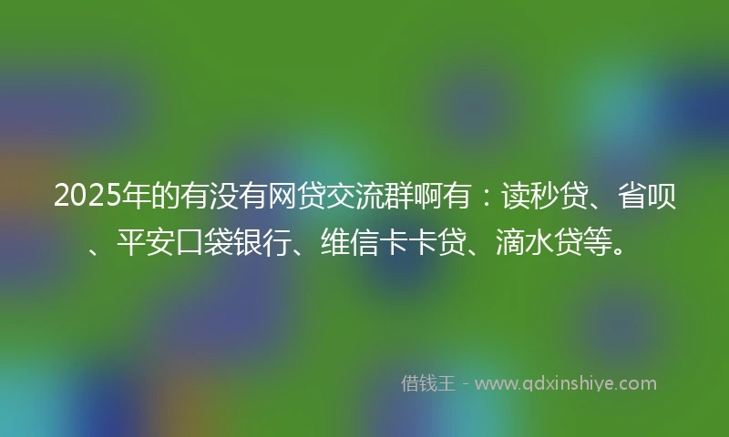 2025年的有没有网贷交流群啊有：读秒贷、省呗、平安口袋银行、维信卡卡贷、滴水贷等。