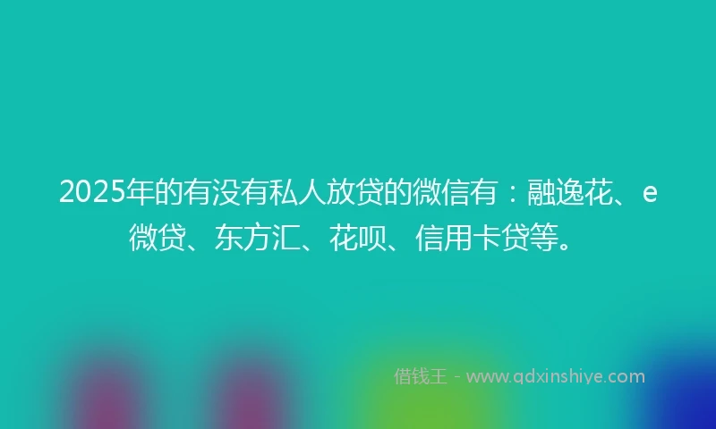 2025年的有没有私人放贷的微信有：融逸花、e微贷、东方汇、花呗、信用卡贷等。