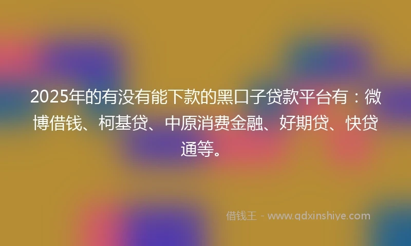 2025年的有没有能下款的黑口子贷款平台有：微博借钱、柯基贷、中原消费金融、好期贷、快贷通等。