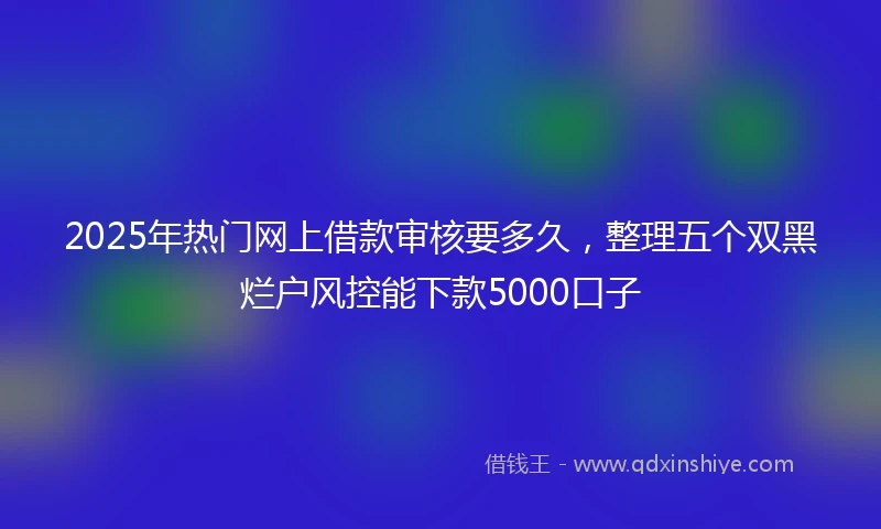 2025年热门网上借款审核要多久，整理五个双黑烂户风控能下款5000口子