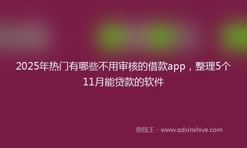 2025年热门有哪些不用审核的借款app，整理5个11月能贷款的软件