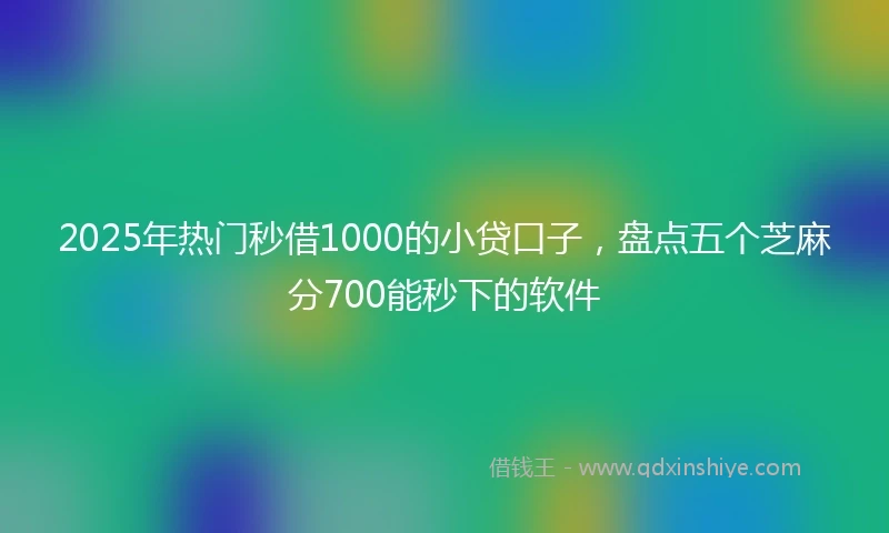 2025年热门秒借1000的小贷口子，盘点五个芝麻分700能秒下的软件