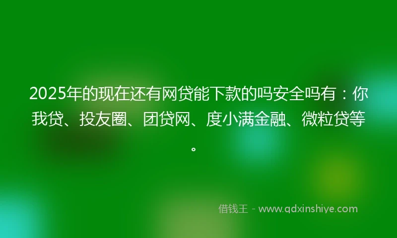 2025年的现在还有网贷能下款的吗安全吗有：你我贷、投友圈、团贷网、度小满金融、微粒贷等。