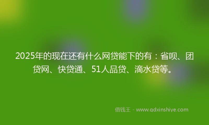 2025年的现在还有什么网贷能下的有：省呗、团贷网、快贷通、51人品贷、滴水贷等。