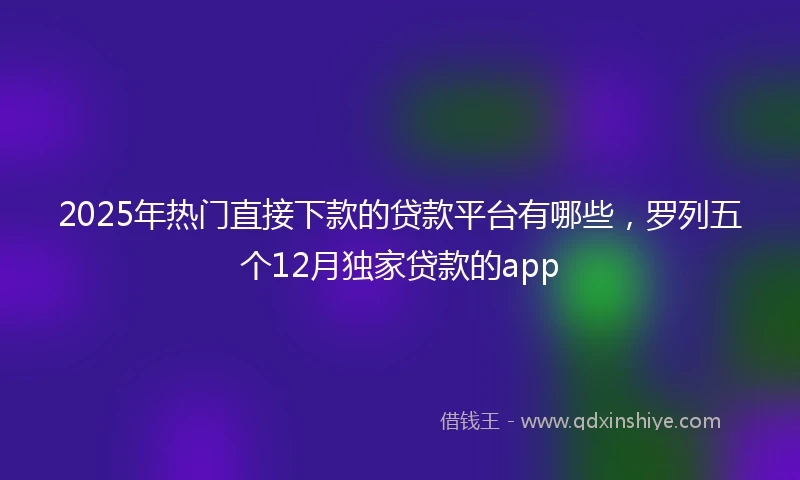 2025年热门直接下款的贷款平台有哪些，罗列五个12月独家贷款的app