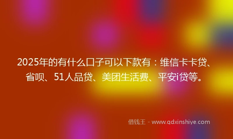 2025年的有什么口子可以下款有：维信卡卡贷、省呗、51人品贷、美团生活费、平安i贷等。