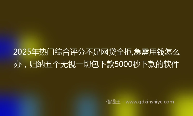 2025年热门综合评分不足网贷全拒,急需用钱怎么办，归纳五个无视一切包下款5000秒下款的软件