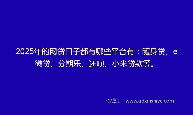 2025年的网贷口子都有哪些平台有：随身贷、e微贷、分期乐、还呗、小米贷款等。