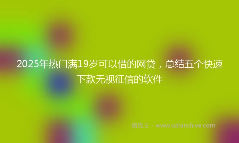 2025年热门满19岁可以借的网贷，总结五个快速下款无视征信的软件
