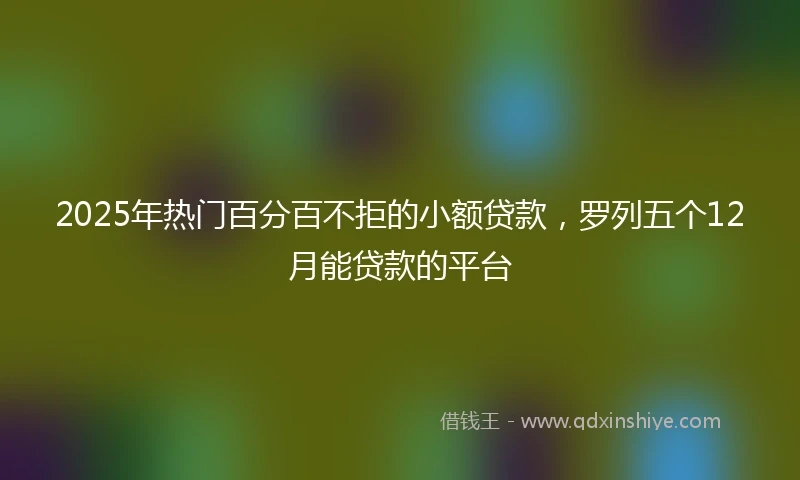 2025年热门百分百不拒的小额贷款，罗列五个12月能贷款的平台