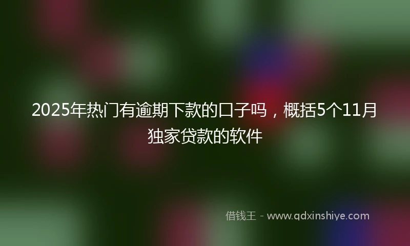 2025年热门有逾期下款的口子吗，概括5个11月独家贷款的软件