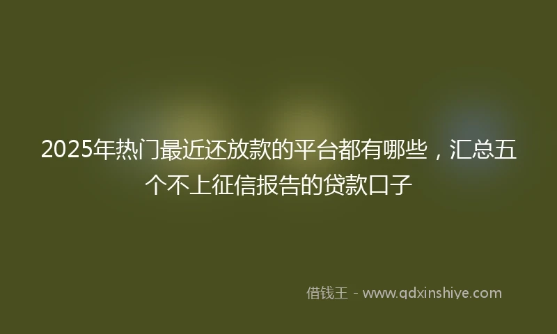2025年热门最近还放款的平台都有哪些，汇总五个不上征信报告的贷款口子