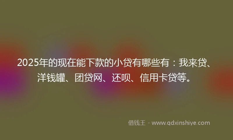 2025年的现在能下款的小贷有哪些有：我来贷、洋钱罐、团贷网、还呗、信用卡贷等。