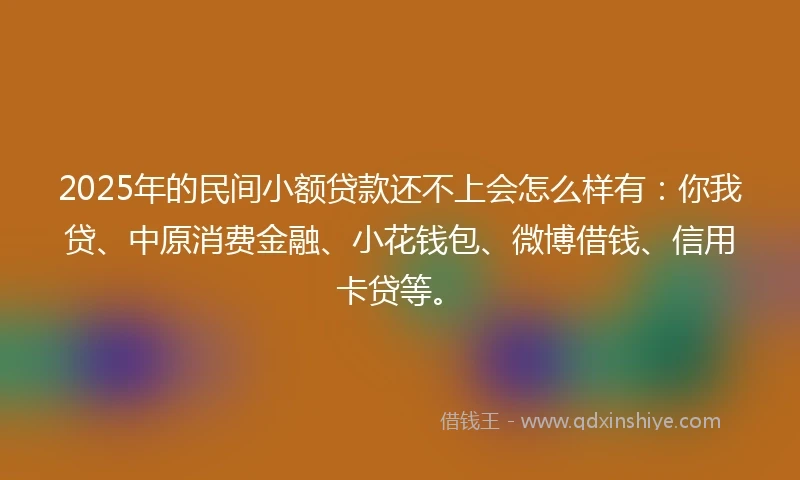 2025年的民间小额贷款还不上会怎么样有：你我贷、中原消费金融、小花钱包、微博借钱、信用卡贷等。