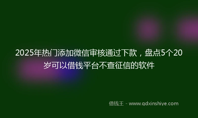 2025年热门添加微信审核通过下款，盘点5个20岁可以借钱平台不查征信的软件