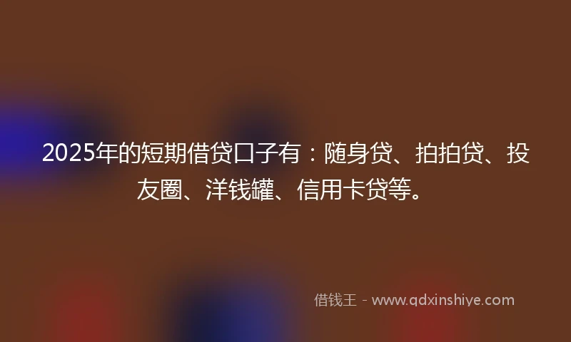 2025年的短期借贷口子有：随身贷、拍拍贷、投友圈、洋钱罐、信用卡贷等。