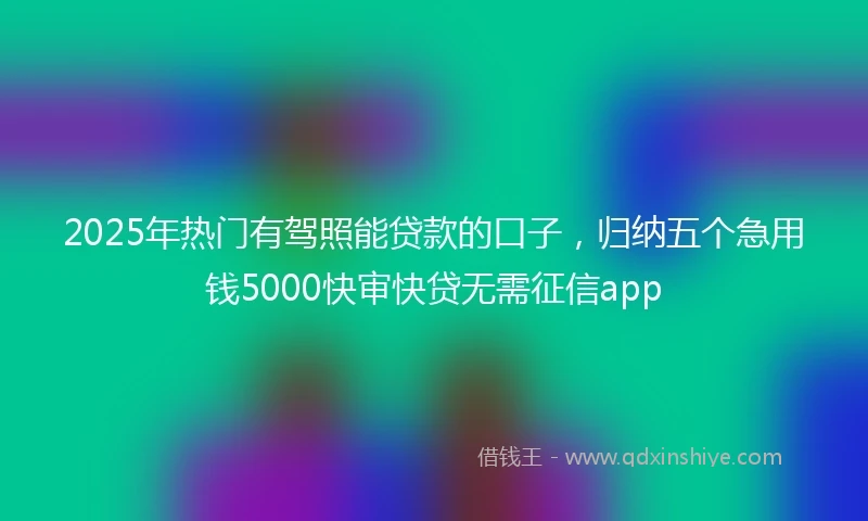 2025年热门有驾照能贷款的口子，归纳五个急用钱5000快审快贷无需征信app