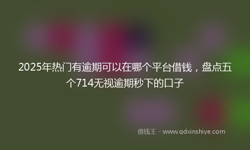 2025年热门有逾期可以在哪个平台借钱，盘点五个714无视逾期秒下的口子