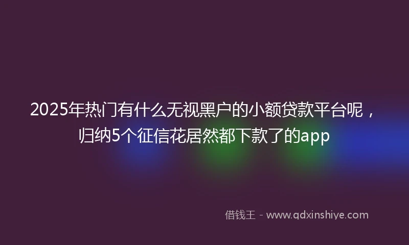 2025年热门有什么无视黑户的小额贷款平台呢，归纳5个征信花居然都下款了的app