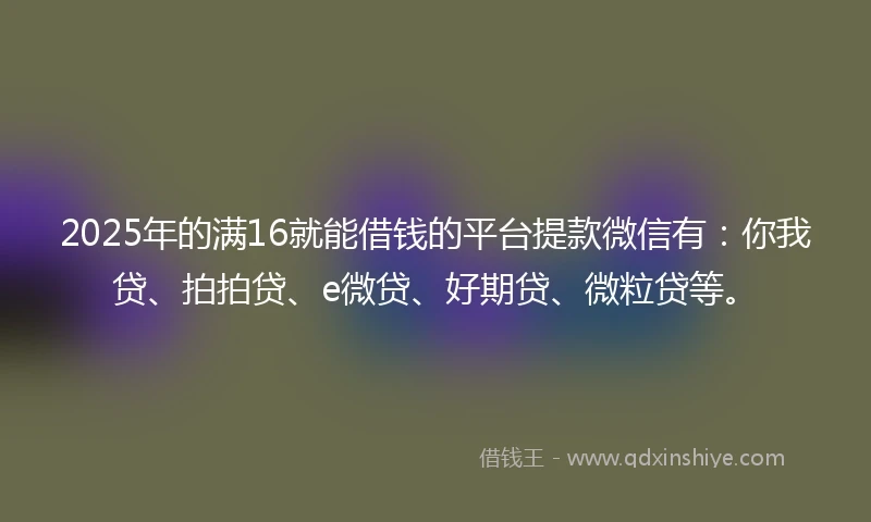 2025年的满16就能借钱的平台提款微信有：你我贷、拍拍贷、e微贷、好期贷、微粒贷等。