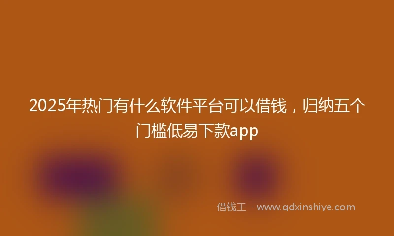 2025年热门有什么软件平台可以借钱，归纳五个门槛低易下款app